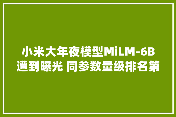 小米大年夜模型MiLM-6B遭到曝光 同参数量级排名第一！_小米_亿元 云服务