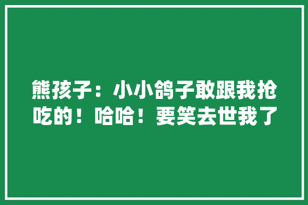 熊孩子：小小鸽子敢跟我抢吃的！哈哈！要笑去世我了！_年夜爷_彩礼