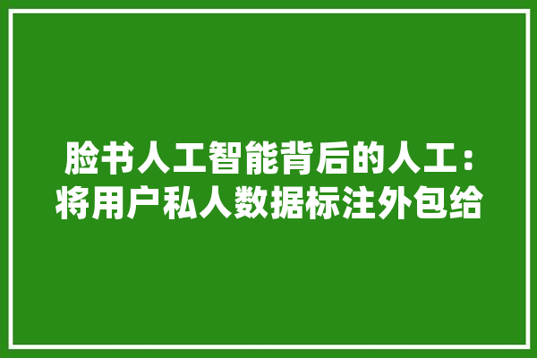 脸书人工智能背后的人工：将用户私人数据标注外包给了印度人_数据_工作 计算机