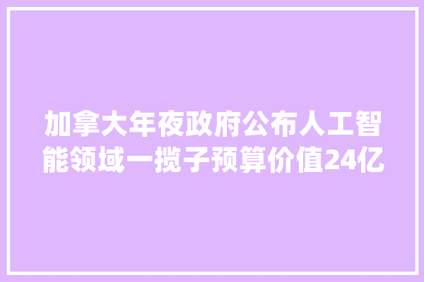 加拿大年夜政府公布人工智能领域一揽子预算价值24亿加元_人工智能_加元 AI简讯