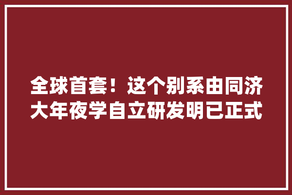 全球首套！这个别系由同济大年夜学自立研发明已正式宣告！_同济年夜学_人工智能
