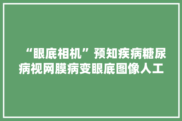 “眼底相机”预知疾病糖尿病视网膜病变眼底图像人工智能赞助诊断软件获批上市_眼科_人工智能