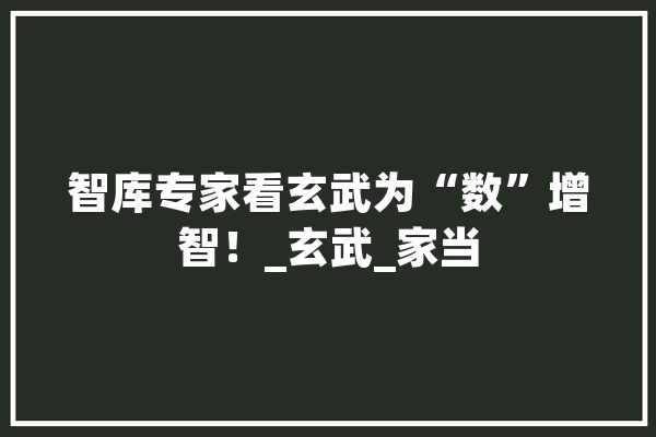 智库专家看玄武为“数”增智！_玄武_家当 文字写作