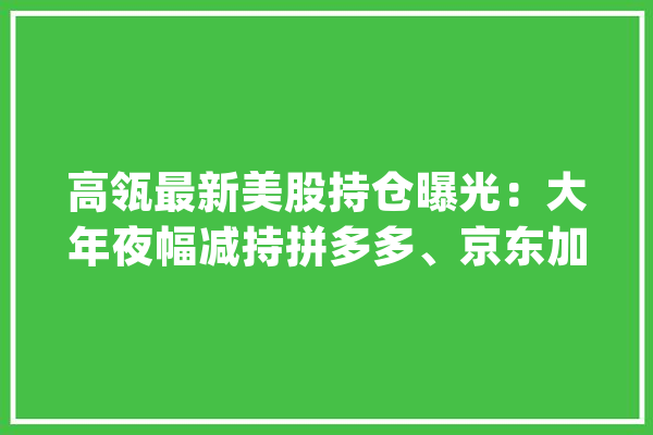 高瓴最新美股持仓曝光：大年夜幅减持拼多多、京东加仓造车新势力_股价_京东
