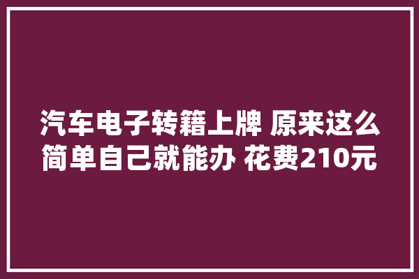 汽车电子转籍上牌 原来这么简单自己就能办 花费210元_灵活车_派司 云服务