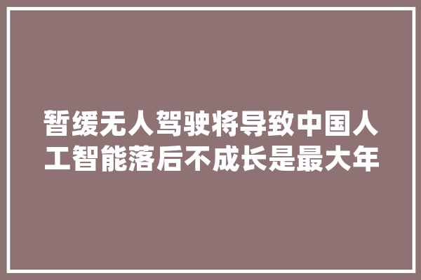 暂缓无人驾驶将导致中国人工智能落后不成长是最大年夜的不屈安_无人驾驶_人工智能 AI快讯