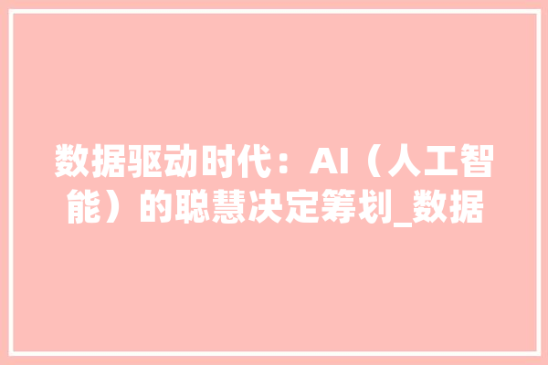 数据驱动时代：AI（人工智能）的聪慧决定筹划_数据_技巧