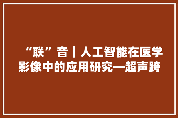 “联”音｜人工智能在医学影像中的应用研究—超声跨模态影像分析_超声_模态