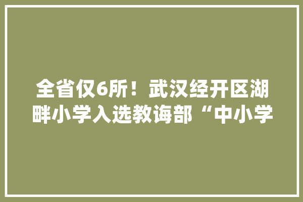 全省仅6所！武汉经开区湖畔小学入选教诲部“中小学人工智能教诲基地”_人工智能_聪明 文字写作