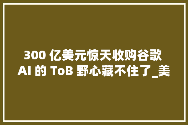 300 亿美元惊天收购谷歌 AI 的 ToB 野心藏不住了_美元_客户