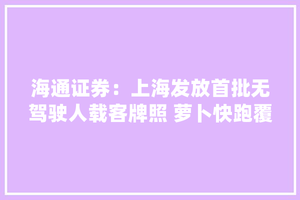 海通证券：上海发放首批无驾驶人载客牌照 萝卜快跑覆盖武汉全市_驾驶人_武汉 文字写作