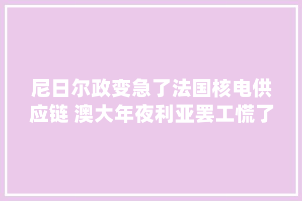 尼日尔政变急了法国核电供应链 澳大年夜利亚罢工慌了欧洲天然气供应链_尼日尔_法国