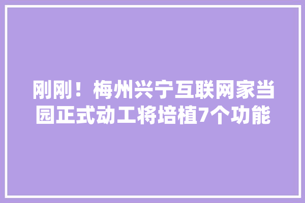 刚刚！梅州兴宁互联网家当园正式动工将培植7个功能场馆_互联网_中心 智能写作