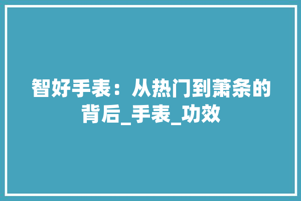 智好手表：从热门到萧条的背后_手表_功效