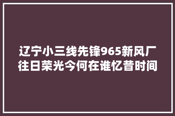辽宁小三线先锋965新风厂往日荣光今何在谁忆昔时间辉景？_机械厂_新风
