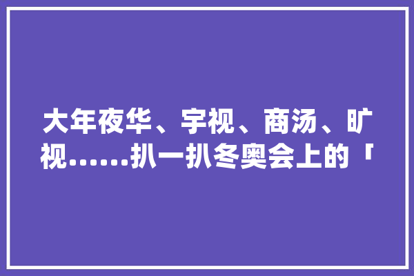 大年夜华、宇视、商汤、旷视......扒一扒冬奥会上的「AI」力量_不雅观_技巧