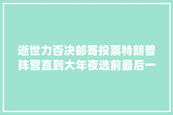 逝世力否决邮寄投票特朗普阵营直到大年夜选前最后一刻仍在内华达州打官司_内华达州_选票 科技快讯