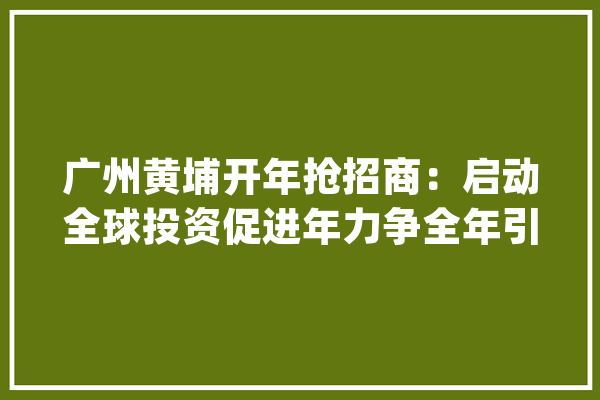 广州黄埔开年抢招商：启动全球投资促进年力争全年引进超400个项目_家当_广州