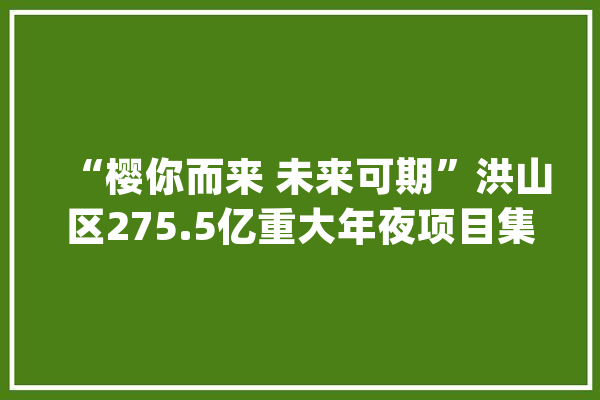 “樱你而来 未来可期”洪山区275.5亿重大年夜项目集中签约_家当_新能源 智能助手