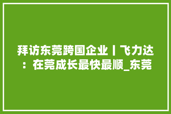 拜访东莞跨国企业丨飞力达：在莞成长最快最顺_东莞_家当