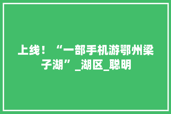 上线！“一部手机游鄂州梁子湖”_湖区_聪明