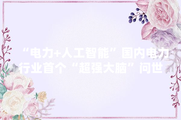“电力+人工智能”国内电力行业首个“超强大脑”问世_深圳_人工智能