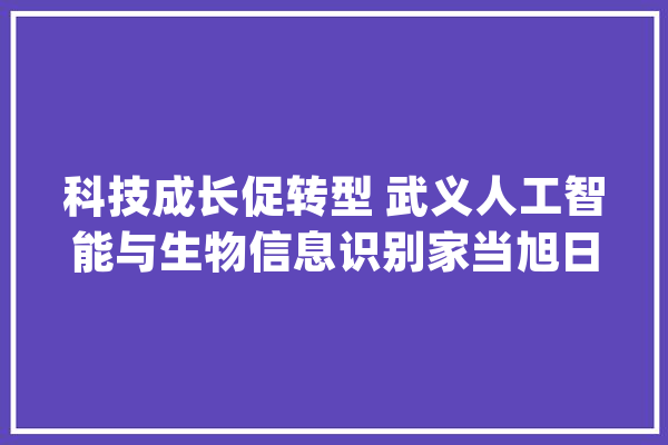 科技成长促转型 武义人工智能与生物信息识别家当旭日东升_武义县_家当