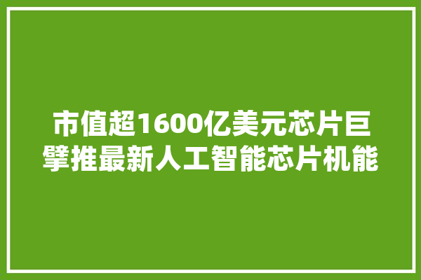 市值超1600亿美元芯片巨擘推最新人工智能芯片机能远超英伟达H100中概股大年夜涨国际金价续刷历史新高_英特尔_美元