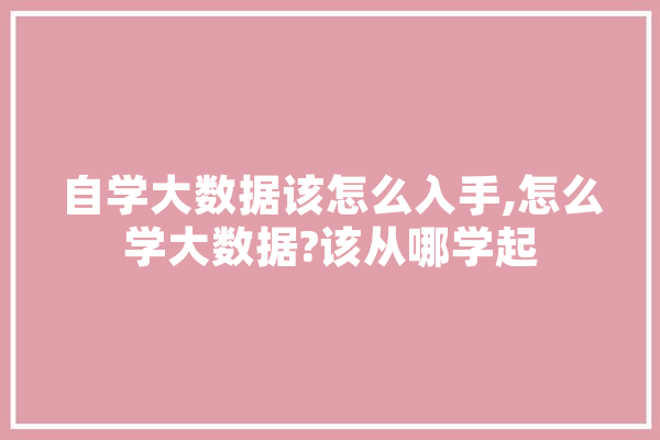 自学大数据该怎么入手,怎么学大数据?该从哪学起