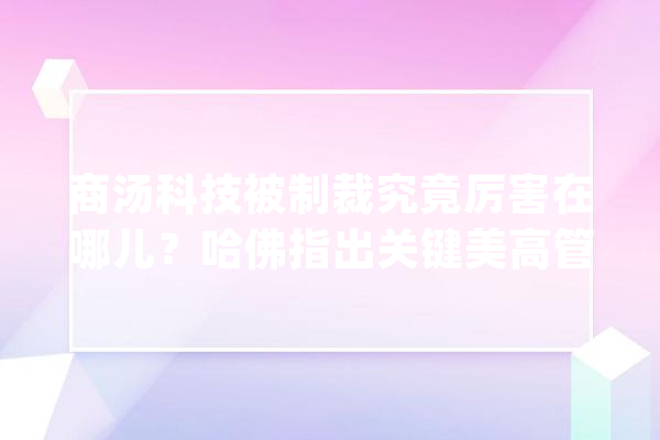 商汤科技被制裁究竟厉害在哪儿？哈佛指出关键美高管为此告退_商汤_人工智能