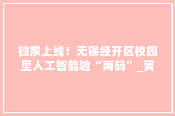 独家上线！无锡经开区校园里人工智能验“两码”_黉舍_体系
