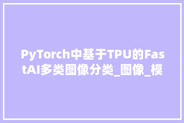 PyTorch中基于TPU的FastAI多类图像分类_图像_模子 绘影字幕