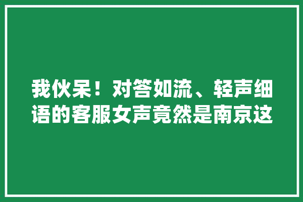 我伙呆！对答如流、轻声细语的客服女声竟然是南京这家人工智能公司的机械人_技巧_机械人 绘影字幕