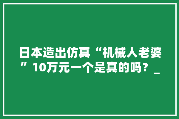 日本造出仿真“机械人老婆”10万元一个是真的吗？_机械人_本身的 文字写作