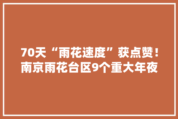 70天“雨花速度”获点赞！南京雨花台区9个重大年夜项目集中开工计划投资52.82亿元_亿元_浙年夜 计算机
