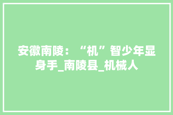 安徽南陵：“机”智少年显身手_南陵县_机械人