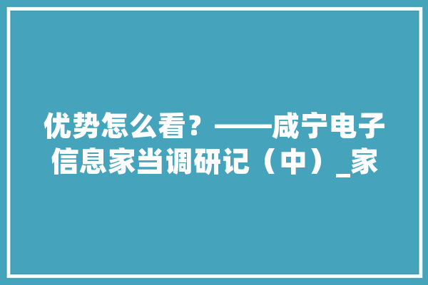 优势怎么看？——咸宁电子信息家当调研记（中）_家当_电子信息