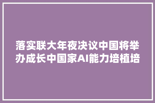 落实联大年夜决议中国将举办成长中国家AI能力培植培训班_人工智能_决定
