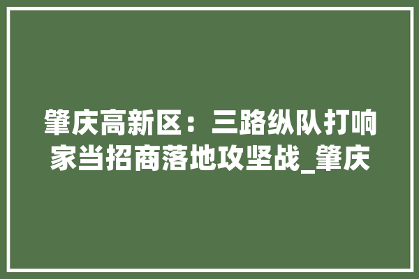 肇庆高新区：三路纵队打响家当招商落地攻坚战_肇庆_高新区