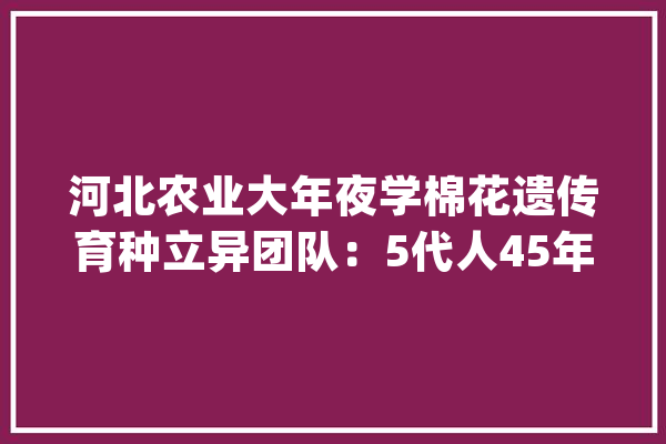 河北农业大年夜学棉花遗传育种立异团队：5代人45年的“温暖事业”_棉花_团队