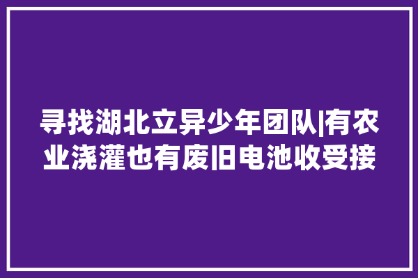 寻找湖北立异少年团队|有农业浇灌也有废旧电池收受接收小学生围绕生态情形发明多项人工智能作品_团队_成员 文字写作