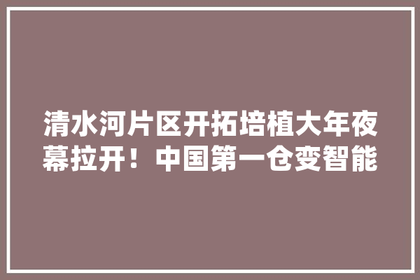 清水河片区开拓培植大年夜幕拉开！中国第一仓变智能小镇_清水_片区 云服务