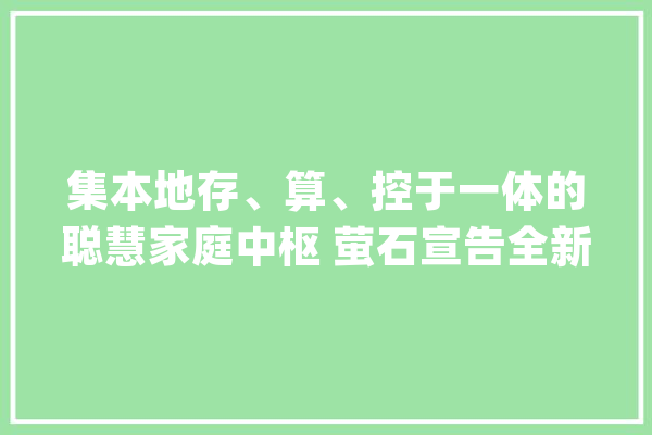 集本地存、算、控于一体的聪慧家庭中枢 萤石宣告全新智能家居AI主机_萤石_智能家居
