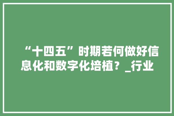 “十四五”时期若何做好信息化和数字化培植？_行业_勘探设计 AI简讯
