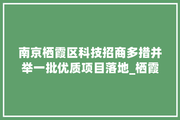 南京栖霞区科技招商多措并举一批优质项目落地_栖霞_项目