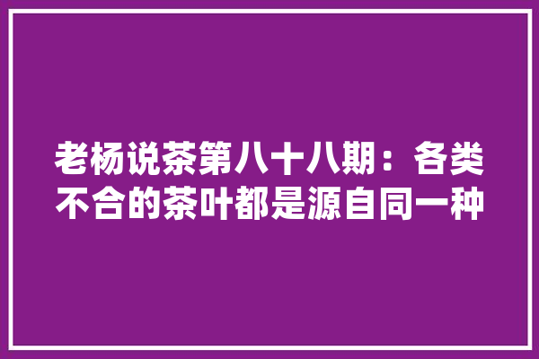 老杨说茶第八十八期：各类不合的茶叶都是源自同一种茶树吗？_茶树_品种 云服务