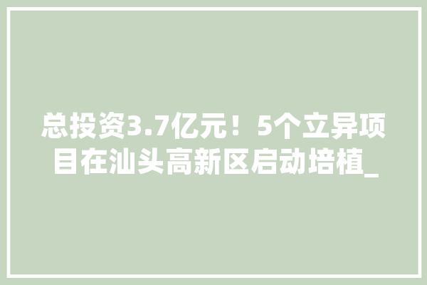 总投资3.7亿元！5个立异项目在汕头高新区启动培植_高新区_汕头 云服务