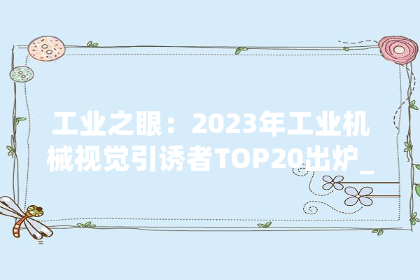 工业之眼：2023年工业机械视觉引诱者TOP20出炉_视觉_机械 智能助手
