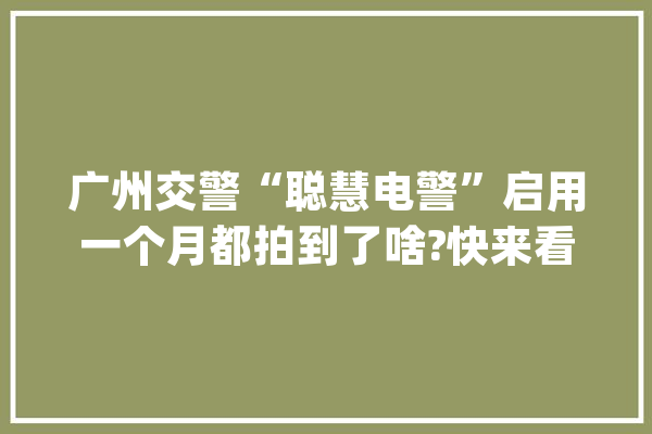 广州交警“聪慧电警”启用一个月都拍到了啥?快来看看！_加塞_平安带