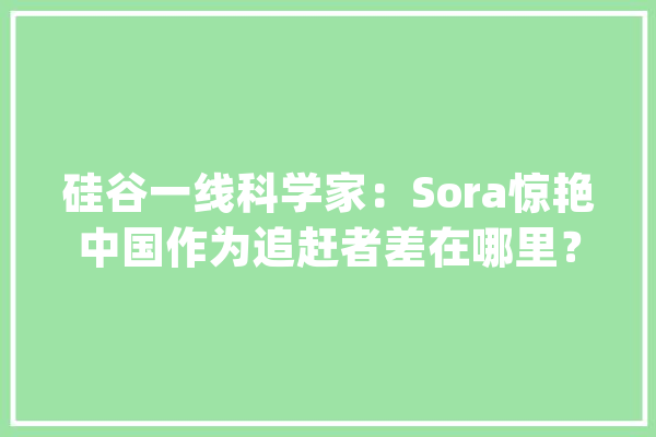 硅谷一线科学家：Sora惊艳中国作为追赶者差在哪里？_视频_模子 智能助手